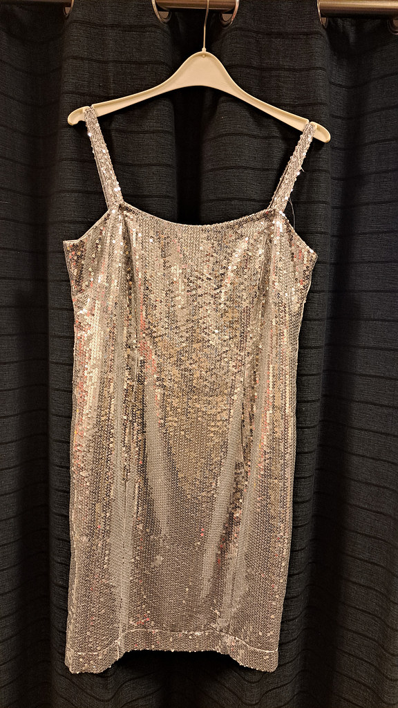 Lange zilver top spaghetti bandjes