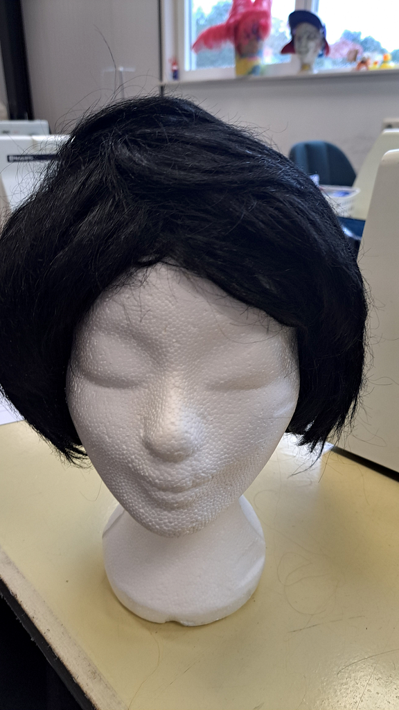 Zwarte pruik kort zwart