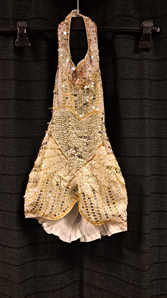 Top wit rose pailletten 