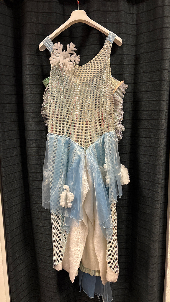 Sneeuw pailetten jurk