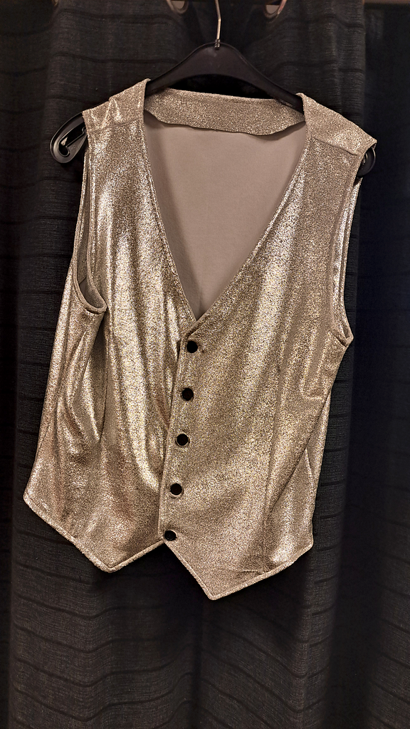 Grijs glimmend gilet zwarte knopen