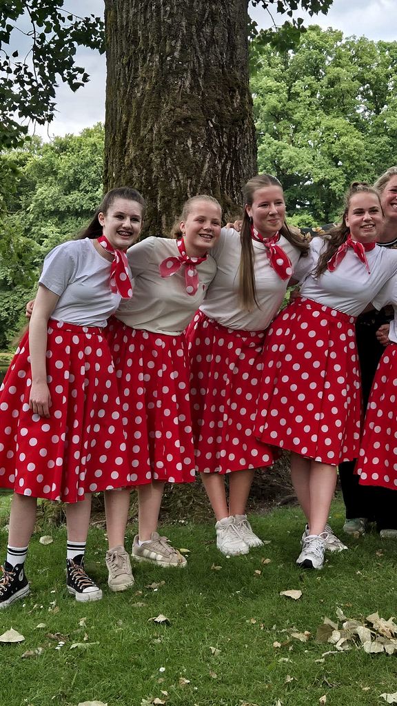 Rode rok petticoat witte stip