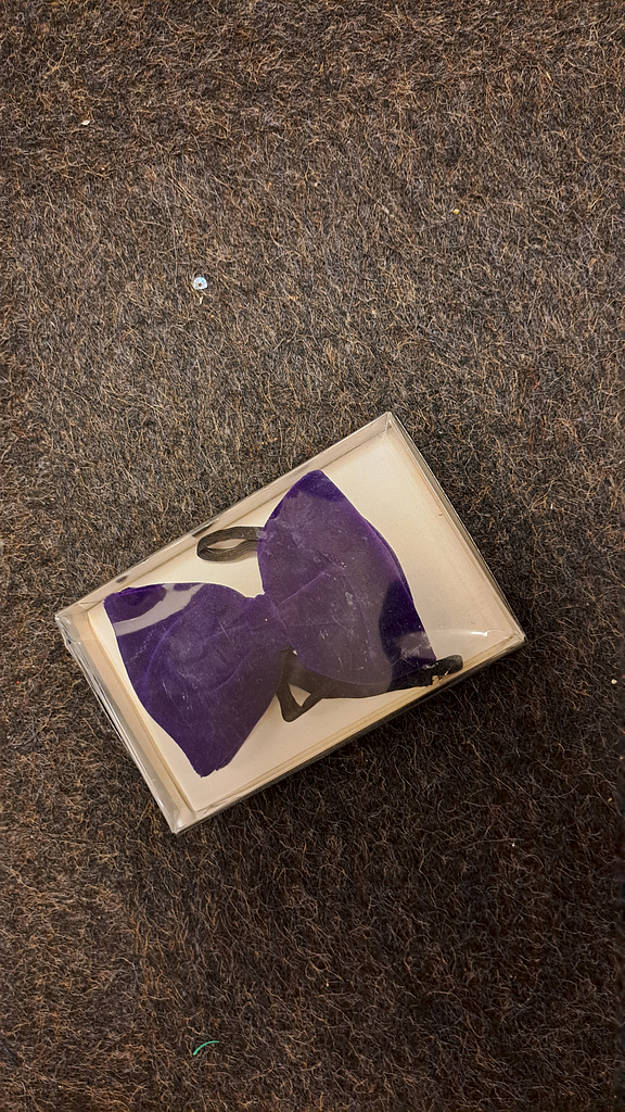 Fluwelen vlinderstrik