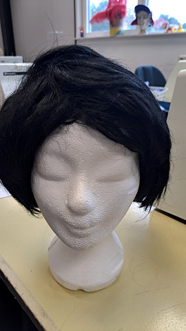 Zwarte pruik kort zwart