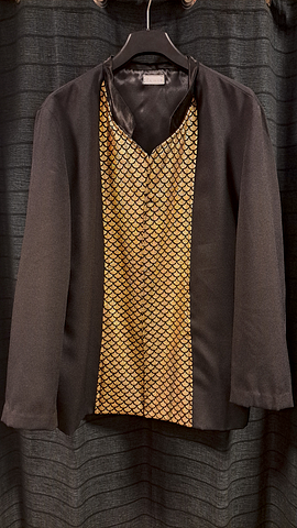 Colbert goud schubben