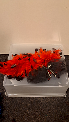 Haarclip met rode veren