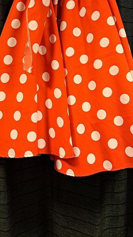 Rode rok petticoat witte stip