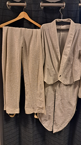 Zilver glitter kostuum 