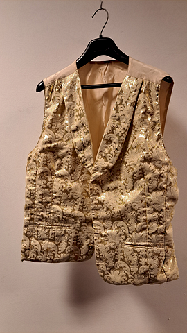 Gouden gilet